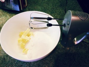 Processed with Rookie